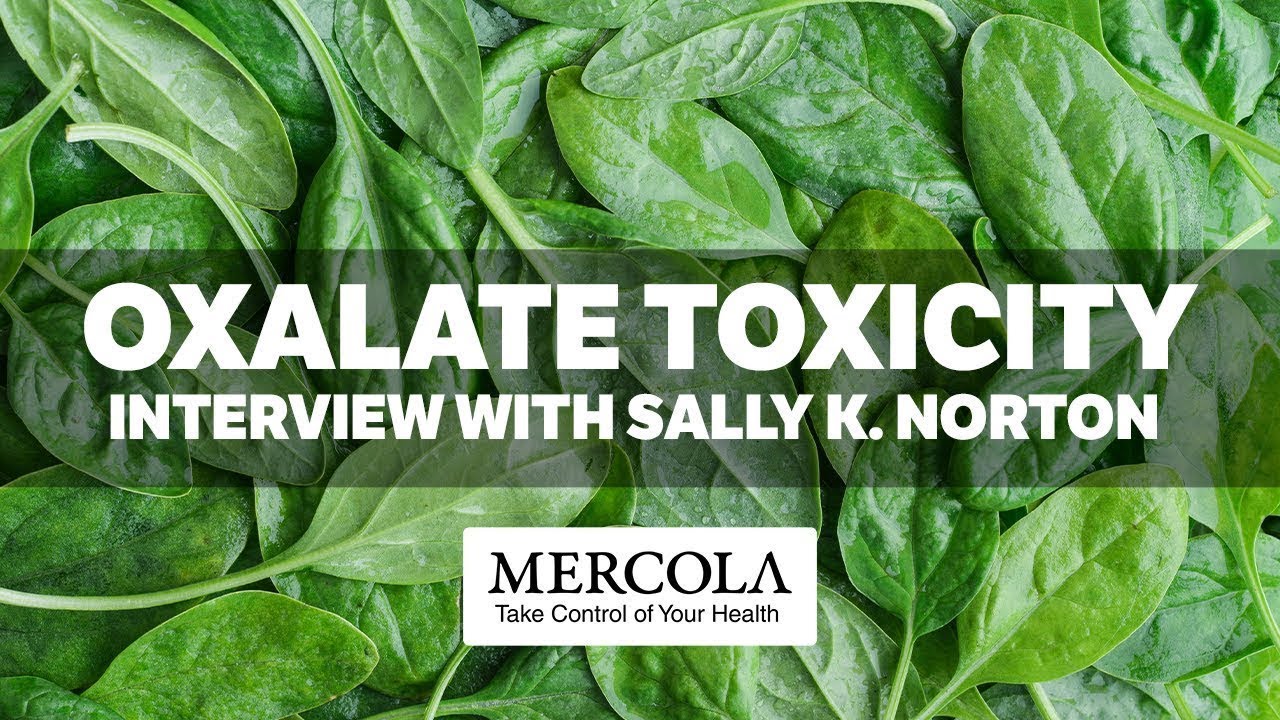 Oxalate Toxicity Interview Preview with Sally K. Norton The BATTLEFRONT