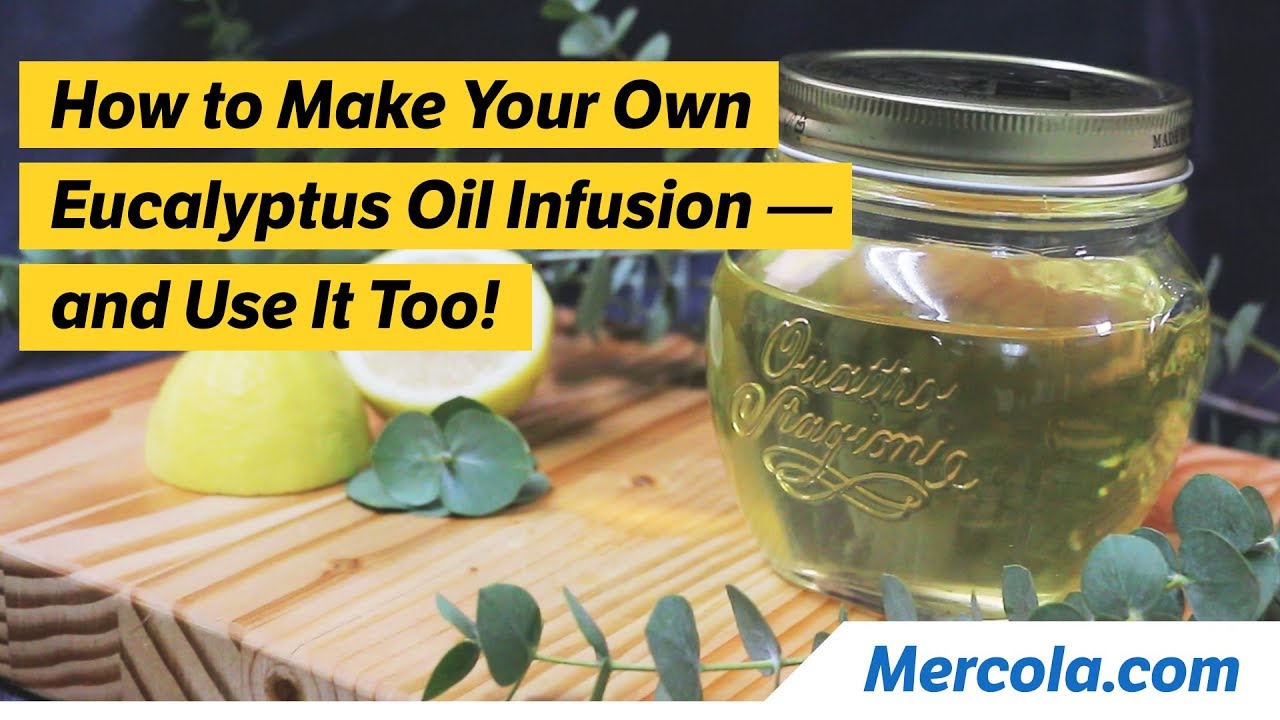 how-to-make-your-own-eucalyptus-oil-infusion-and-use-it-too-the