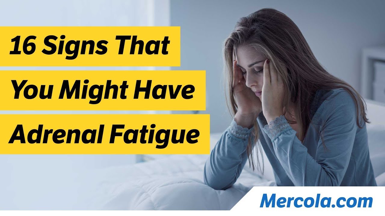 16 Signs You Might Have Adrenal Fatigue The Battlefront