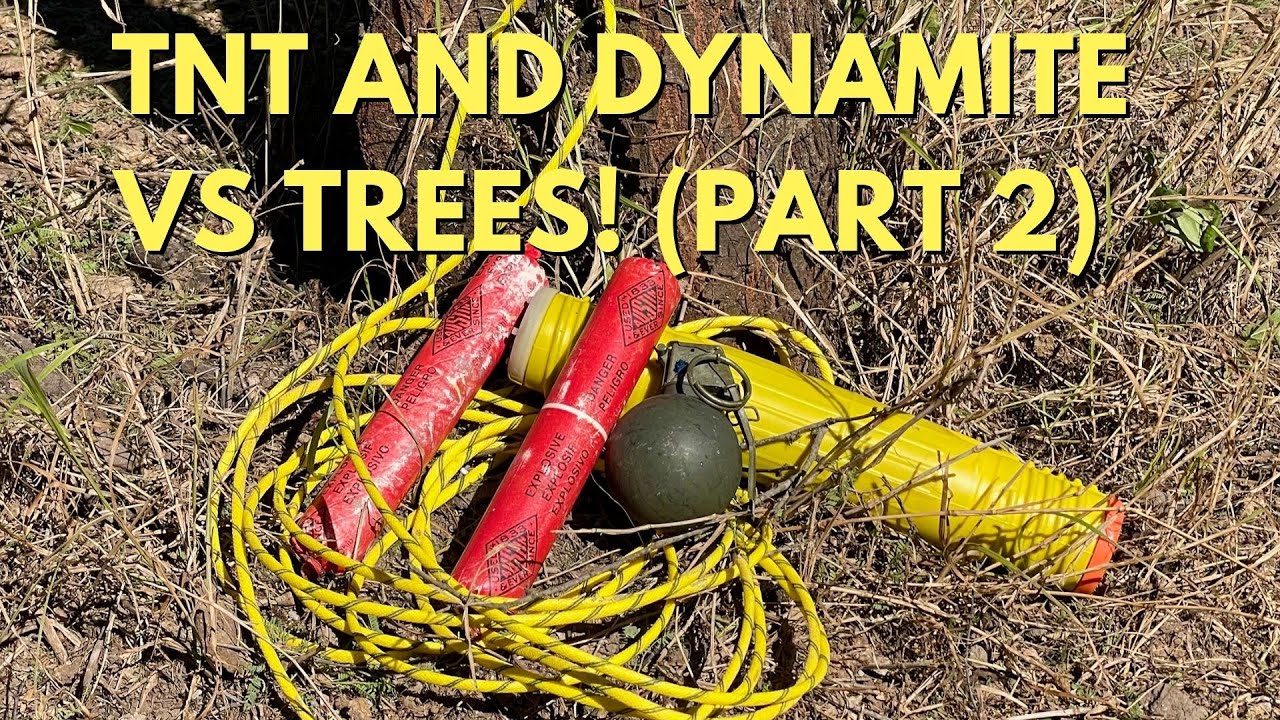 TNT, Dynamite, and other High Explosives VS Trees! (Part 2) 