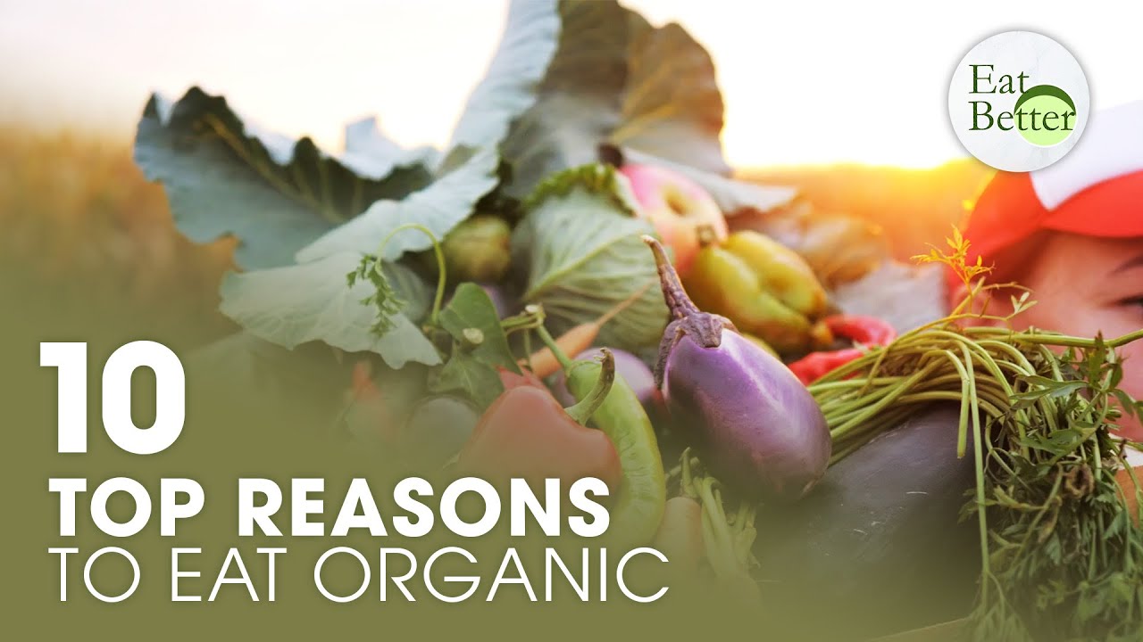 Top 10 Reasons To Eat Organic Eat Better The Battlefront