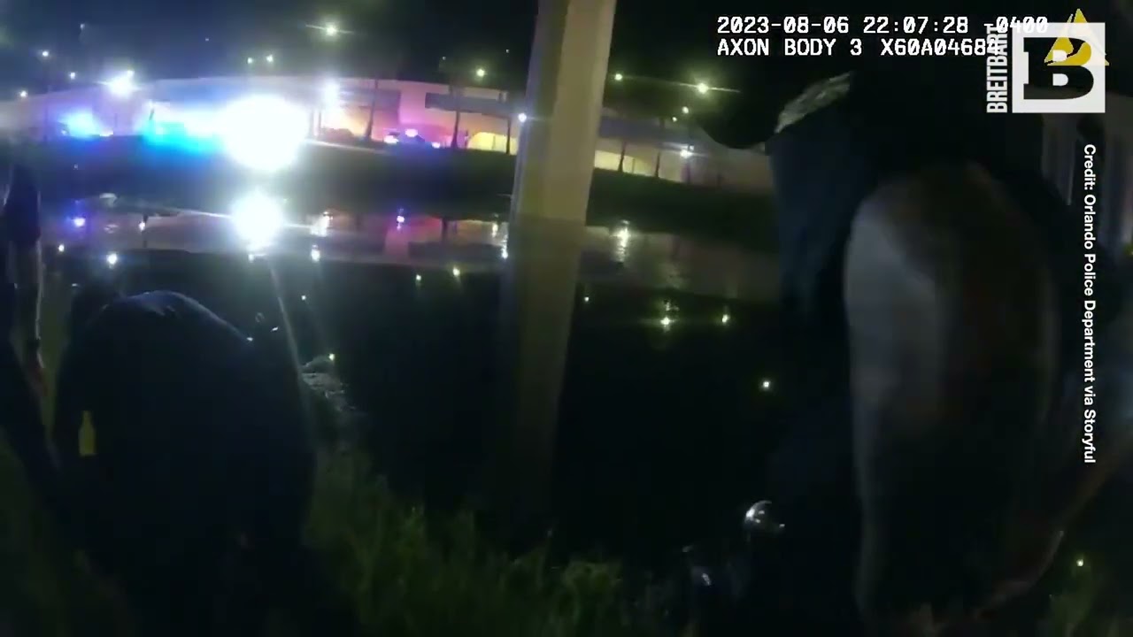 Dramatic Rescue: Orlando Police Save Driver From Sinking Car in Pond ...