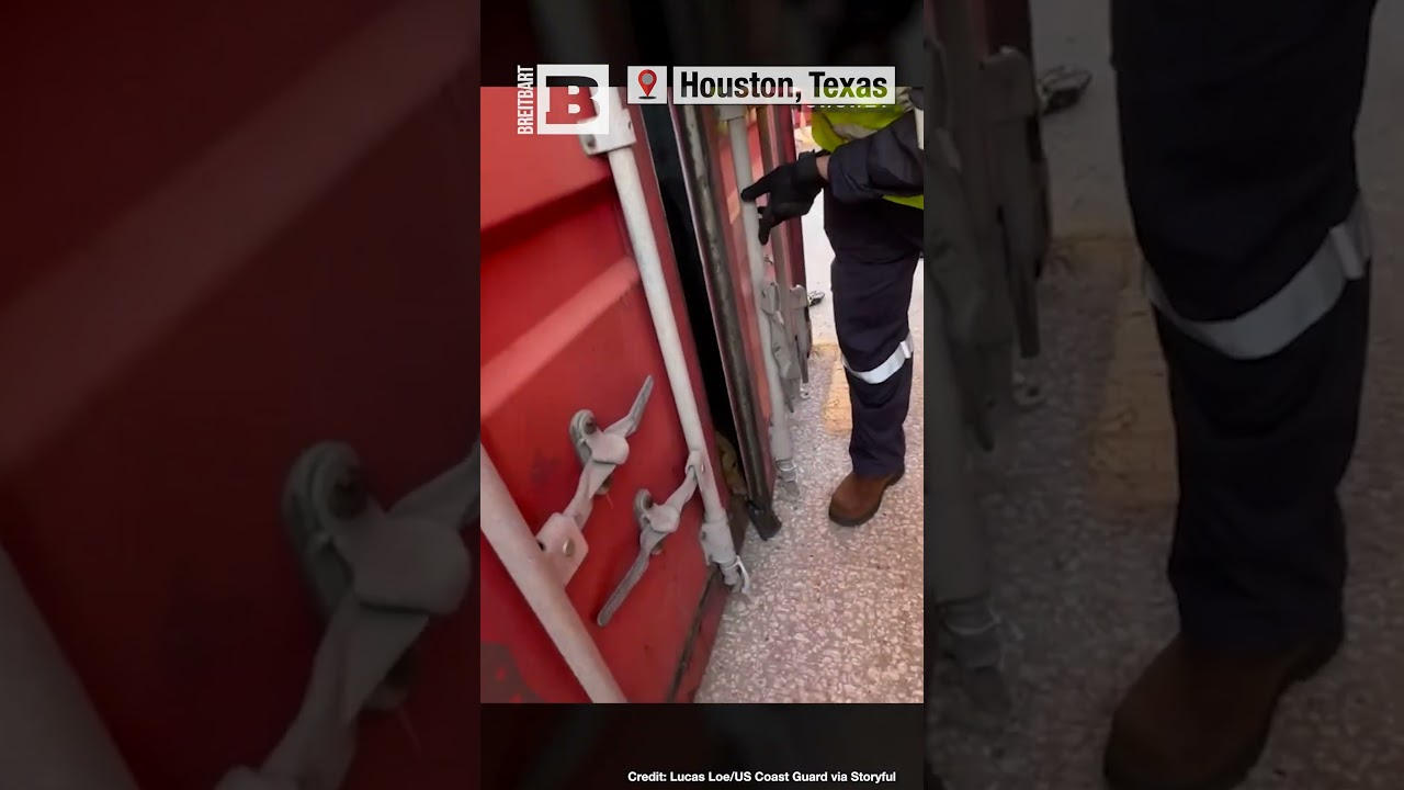 Safe! U.S. Coast Guard Saves Dog Stuck in Houston Shipping Container ...